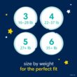 Pampers Swaddlers Overnights Diapers Size 6, 42 count - Disposable Diapers