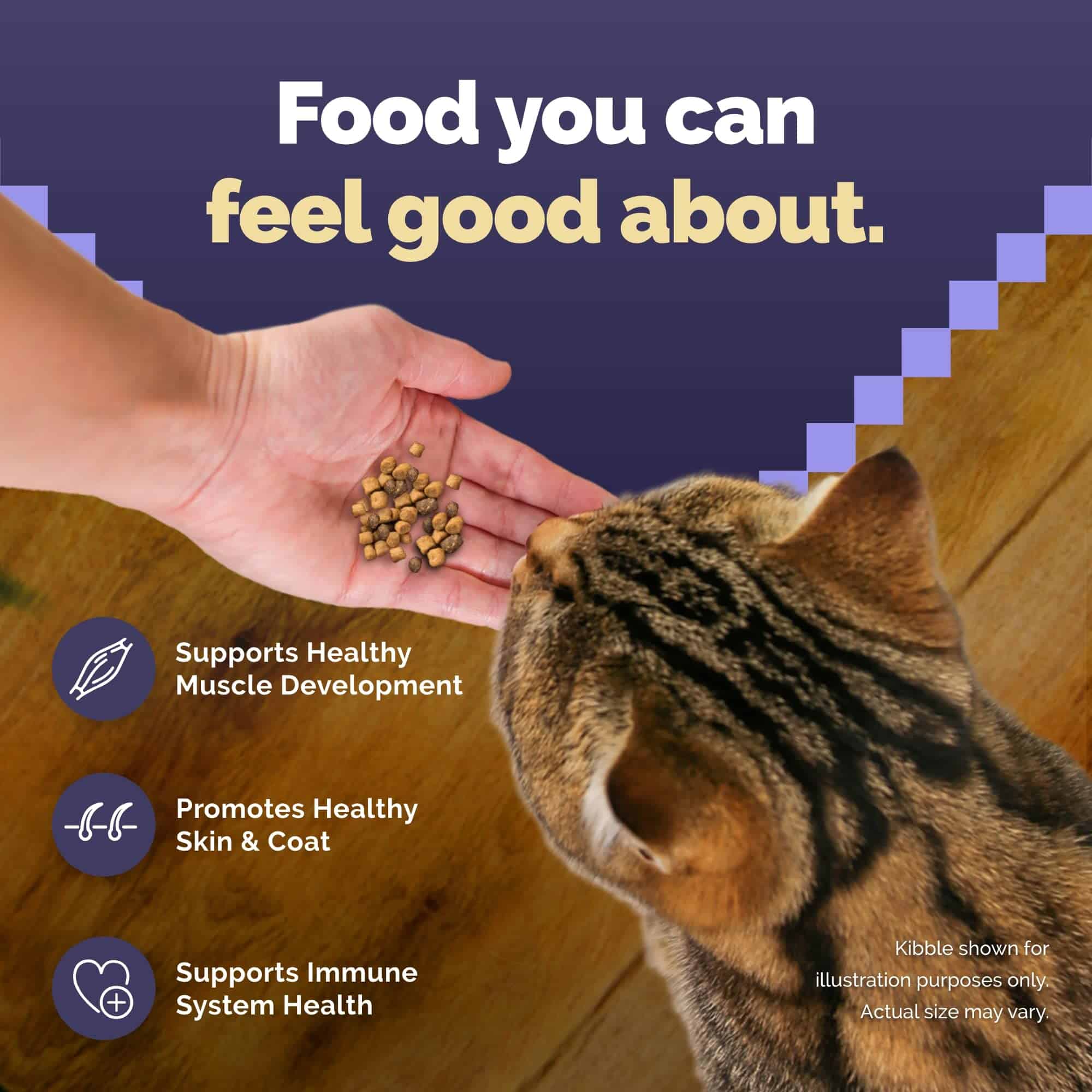 Blue Buffalo Blue Wilderness Natural Adult High Protein Chicken Dry Cat Food, 12 lbs. Blue Buffalo Blue Wilderness Natural Adult High Protein Chicken Dry Cat Food, 12 lbs. - Image 8