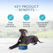 Blue Buffalo Blue Life Protection Formula Natural Adult Large Breed Healthy Weight Chicken and Brown Rice Dry Dog Food, 30 lbs.