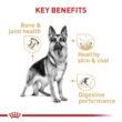 Royal Canin German Shepherd Adult Dry Dog Food, 30 lb bag