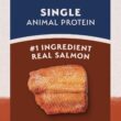 Natural Balance Limited Ingredient Adult Grain-Free Dry Dog Food, Salmon & Sweet Potato Recipe, 24 Pound (Pack of 1)