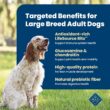 Blue Buffalo Life Protection Formula Natural Adult Large Breed Chicken and Brown Rice Dry Dog Food, 30 lbs.