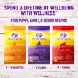 Wellness Complete Health Dry Dog Food with Grains, Made in USA with Real Meat & Natural Ingredients, All Breeds, Adult Dogs (Chicken & Oatmeal, 30-lb)