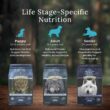 Blue Buffalo Wilderness High Protein Natural Adult Dry Dog Food plus Wholesome Grains, Chicken 28 lb bag