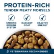 Purina ONE Plus Large Breed Adult Dog Food Dry Formula - 40 lb. Bag