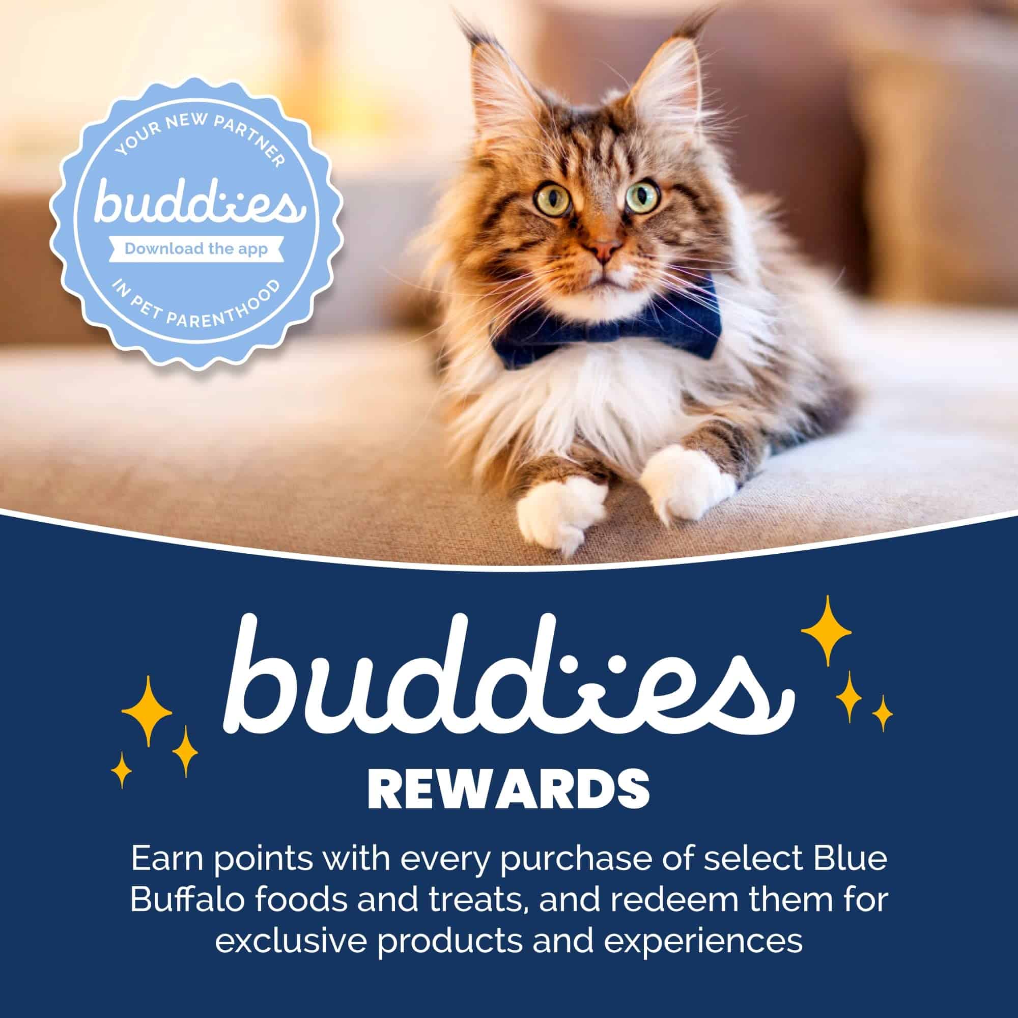 Blue Buffalo Blue Wilderness Natural Adult High Protein Chicken Dry Cat Food, 12 lbs. Blue Buffalo Blue Wilderness Natural Adult High Protein Chicken Dry Cat Food, 12 lbs. - Image 3