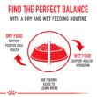 Royal Canin Bulldog Adult Dry Dog Food, 30 lb bag
