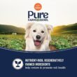 Canidae Pure Real Salmon & Sweet Potato Recipe Adult Dry Dog Food, 22 lbs.