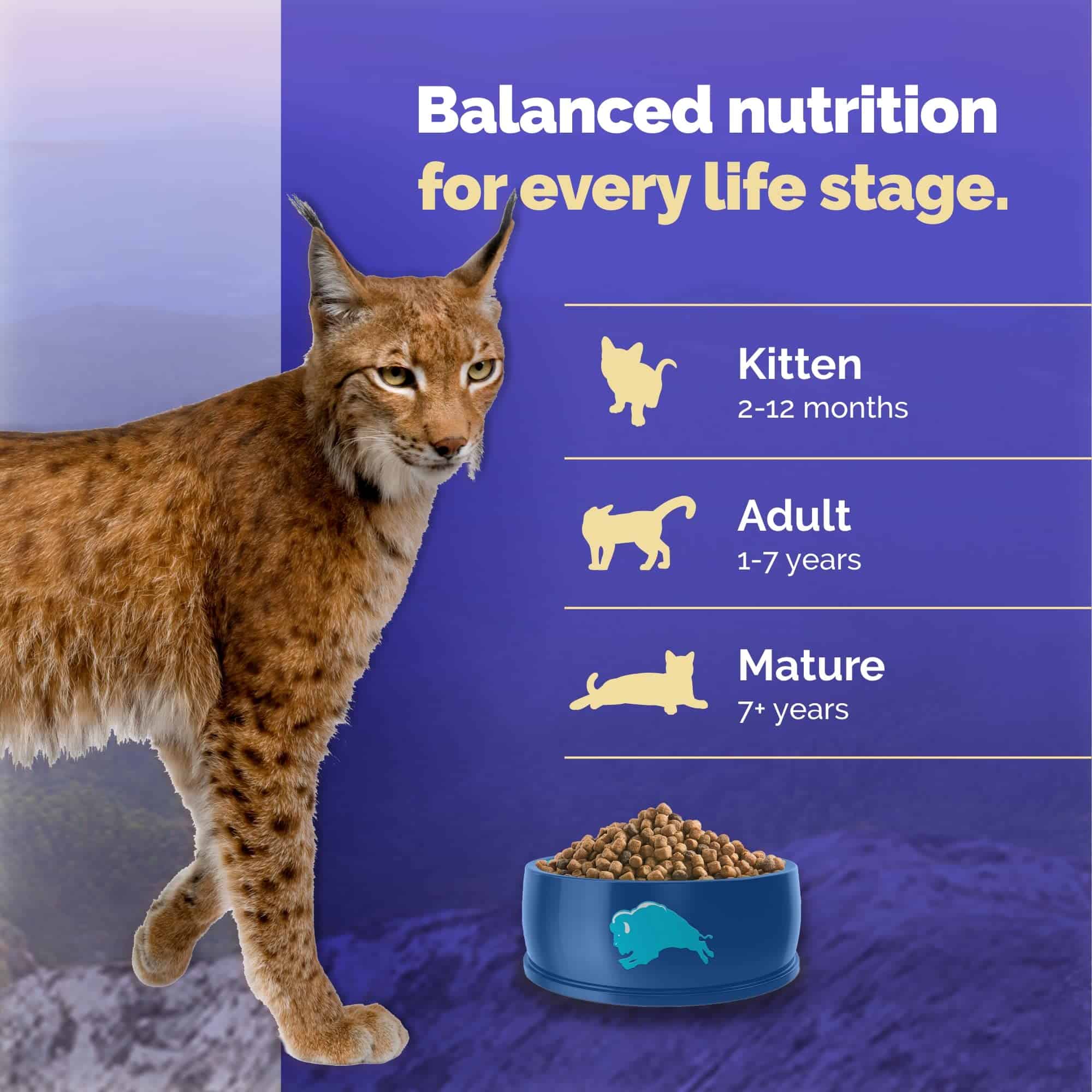 Blue Buffalo Blue Wilderness Natural Adult High Protein Chicken Dry Cat Food, 12 lbs. Blue Buffalo Blue Wilderness Natural Adult High Protein Chicken Dry Cat Food, 12 lbs. - Image 2