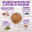 Wellness Complete Health Dry Dog Food with Grains, Made in USA with Real Meat & Natural Ingredients, All Breeds, Adult Dogs (Chicken & Oatmeal, 30-lb)