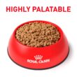 Royal Canin Veterinary Diet Gastrointestinal Low Fat Loaf Canned Wet Dog Food, 13.5 oz., Case of 24