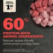 ACANA Grain-Free Red Meat Ranch-Raised Beef Yorkshire Pork Grass-Fed Lamb Dry Dog Food, 25 lbs.