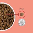 ACANA Grain-Free Red Meat Ranch-Raised Beef Yorkshire Pork Grass-Fed Lamb Dry Dog Food, 25 lbs.