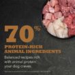 ACANA Grain Free, Highest Protein, Appalachian Ranch Dry Dog Food, 25 lbs.