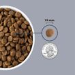 ACANA Grain-Free Light & Fit Chicken to support Healthy Weight Adult Dry Dog Food, 25 lbs.