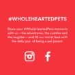 WholeHearted Beef & Brown Rice Recipe Pate with Whole Grains Wet Dog Food, 12.5 oz., Case of 12
