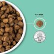 ACANA Wholesome Grains Lamb & Pumpkin Recipe Dry Dog Food, 22.5 lbs.