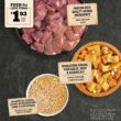 ACANA Wholesome Grains Duck & Pumpkin Recipe Dry Dog Food, 22.5 lbs.