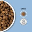 ACANA Wholesome Grains Duck & Pumpkin Recipe Dry Dog Food, 22.5 lbs.