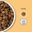 ACANA Wholesome Grains Free-Run Poultry & Grains Recipe Dry Dog Food, 22.5 lbs.