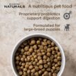 Diamond Naturals Large Breed Lamb Flavor Dry Puppy Food, 40 lbs.