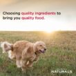 Diamond Naturals Large Breed Lamb Flavor Dry Puppy Food, 40 lbs.
