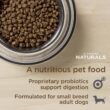 Diamond Naturals Small Breed Chicken and Rice Adult Dry Dog Food, 18 lbs.