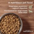Diamond Naturals Large Breed Lamb Meal and Rice Adult Dry Dog Food, 40 lbs.