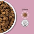ACANA Wholesome Grains Small Breed Recipe with Real Chicken, Eggs and Turkey Dry Dog Food, 11.5 lbs.