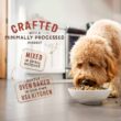Stella & Chewy's SuperBlends Raw Coated Wholesome Grains Grass-Fed Beef, Beef Liver & Lamb Recipe Dry Dog Food, 21 lbs.