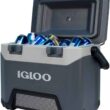 Igloo Heavy-Duty 25 Qt BMX Ice Chest Cooler with Cool Riser Technology - 12