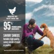 ORIJEN Grain-Free Real Meat Shreds Original Stew Premium Wet Dog Food, 12.8 oz., Case of 12