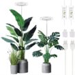 Plant Grow Light,yadoker LED Growing Light Full Spectrum for Indoor Plants,Height Adjustable, Automatic Timer, 5V Low Safe Voltage,Idea for Large Plant Light, 2 Pack - 1