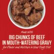Merrick Grain Free Chunky Big Texas Steak Tips Dinner Canned Dog Food, 12.7 oz., Case of 12