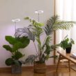 Plant Grow Light,yadoker LED Growing Light Full Spectrum for Indoor Plants,Height Adjustable, Automatic Timer, 5V Low Safe Voltage,Idea for Large Plant Light, 2 Pack - 2