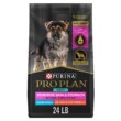 Purina Pro Plan Sensitive Skin & Stomach, Salmon & Rice Formula Large Breed Dry Puppy Food, 24 lbs.