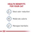 Royal Canin Indoor Adult Dry Cat Food, 15 lbs.