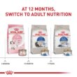 Royal Canin Indoor Adult Dry Cat Food, 15 lbs.