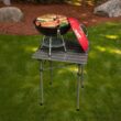 Cuisinart CCG190RB Inch BBQ, 14