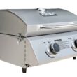 Monument Stainless Steel 2-Burner Liquid Propane Gas Grill