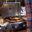 Monument Stainless Steel 2-Burner Liquid Propane Gas Grill