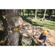 DEWALT DCPS620M1 20V MAX 8in. Cordless Battery Powered Pole Saw Kit with (1) 4Ah Battery, Charger & Sheath