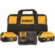 DEWALT 20V MAX XR Premium Lithium-Ion 6.0Ah and 4.0Ah Starter Kit