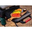 Nexgrill 720-1075B Daytona 2-Burner 21 in. Propane Gas Griddle with Foldable Cart in Black