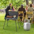 Costway 2-in-1 Gas Camping Grill and Stove with Detachable Legs