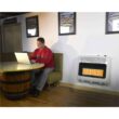 Mr. Heater 30,000 BTU Vent Free Radiant Propane Heater