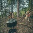 Fire-Maple Antarcti Portable 1 Liter Lightweight Stainless Steel Camping Kettle