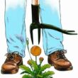 Grampa's Weeder - The Original Stand Up Weed Puller Tool with Long Handle