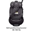 Safety 1st Grow and Go All-in-One Convertible Car Seat, Rear-facing 5-40 pounds, Harvest Moon