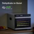 COSORI Food Dehydrator for Jerky, Large Drying Space with 6.48ft², 600W Dehydrated Dryer, 6 Stainless Steel Trays